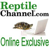 ReptileChannel.com Online Exclusive