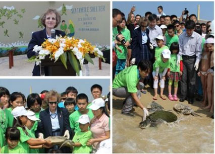 U.S. And China Release Sea Turtles Into Disputed South China Sea