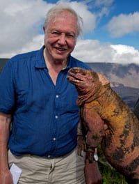 Sir David Attenborough’s Galapagos 3D To Feature Pink Iguana