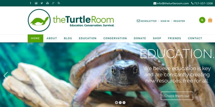 TheTurtleRoom Gets Tax-Exempt Status, Serves As Public Charity