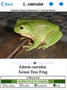 Frogs Of Australia App For iOS Now Available