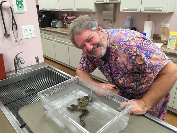 Mississippi Veterinarian Performs Spinal Fusion Surgery on Bullfrog