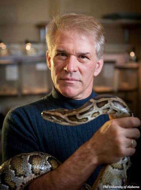 Discovery Anaconda Stunt: Fear And Sensationalism, Says Real Scientist