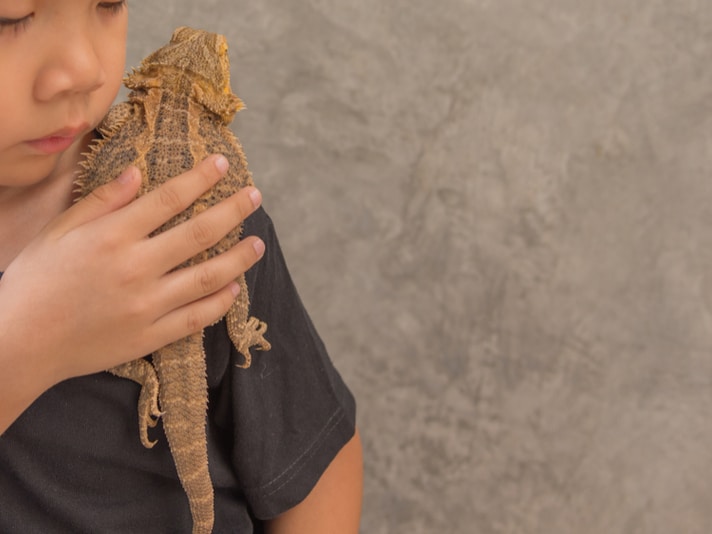 Pet Reptile Product Sales Reach $383 Million In 2016