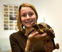 UK Scientist Teaches Tortoise To Yawn, Wins IG Nobel Award
