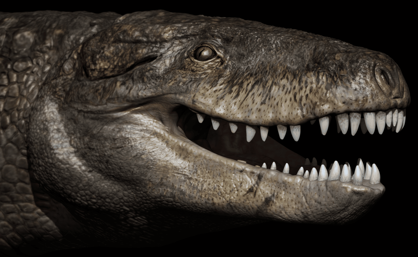 Meet "Razana," The Impressive Prehistoric Crocodilian That Ate Dinosaurs