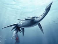 Ancient Reptile Plesiosaurs Gave Birth To Live Young, Study Says